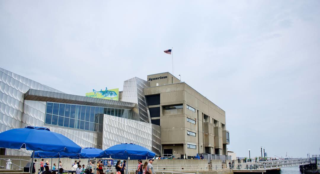 Aquarium de Nouvelle-Angleterre